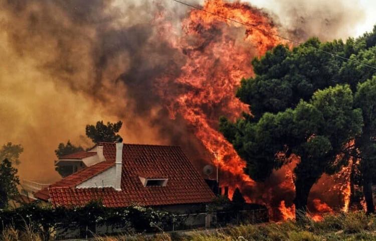 88 de oameni și-au pierdut viața în incendiile din Grecia