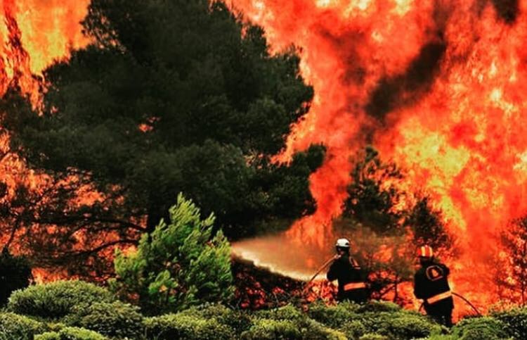 Unde puteți ajuta victimele incendiilor din Grecia